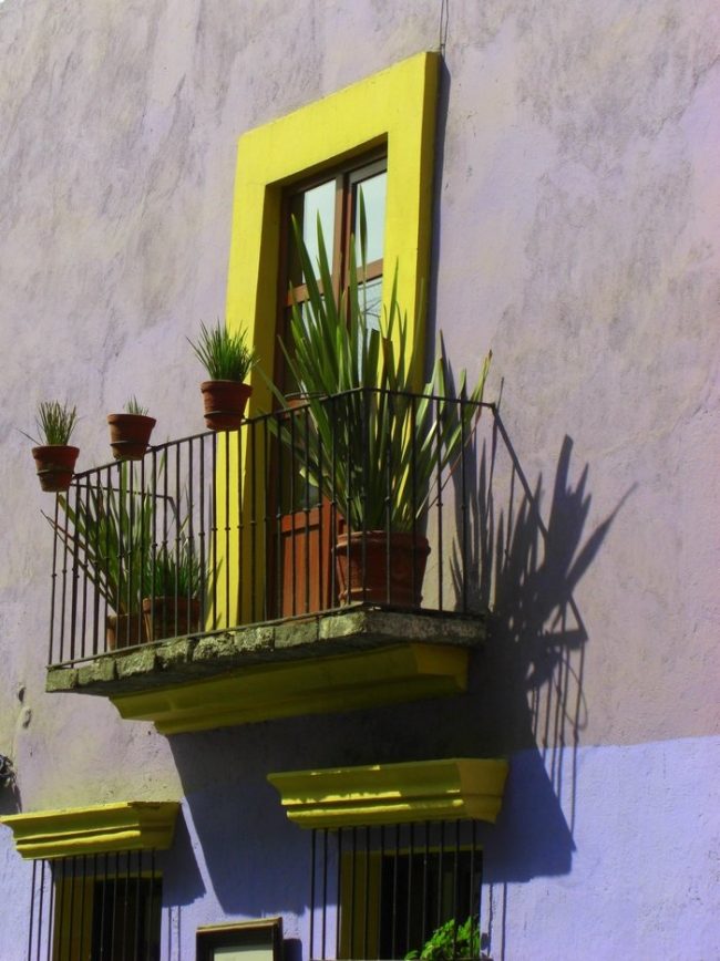 Murs de ciment gris avec des détails de couleur néon, tels que jaune et lilas