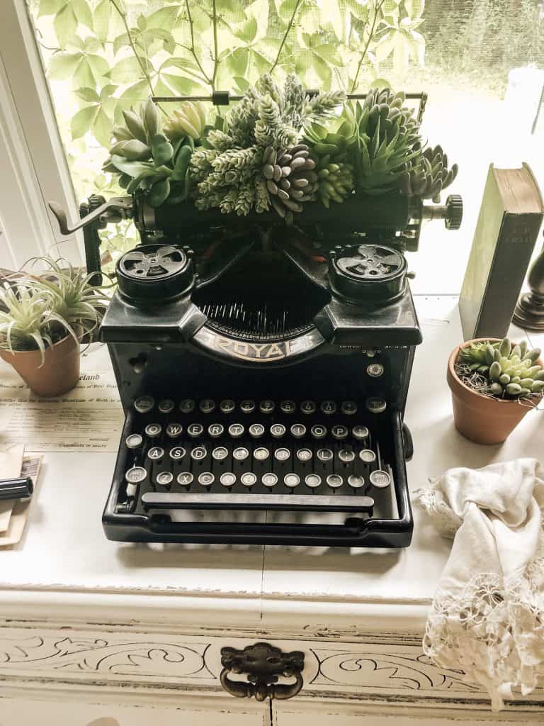 Succulent vase de machine à écrire vintage