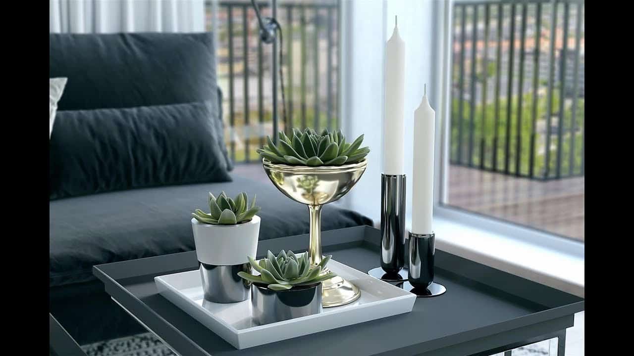 Décor de table basse moderne succulent