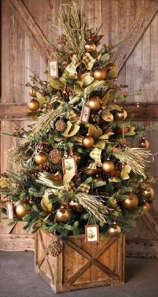 Photos d'arbres de Noël rustiques