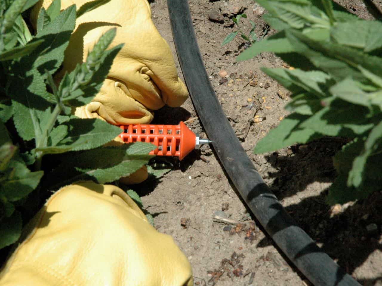 Comment installer un système d'irrigation au-dessus du sol