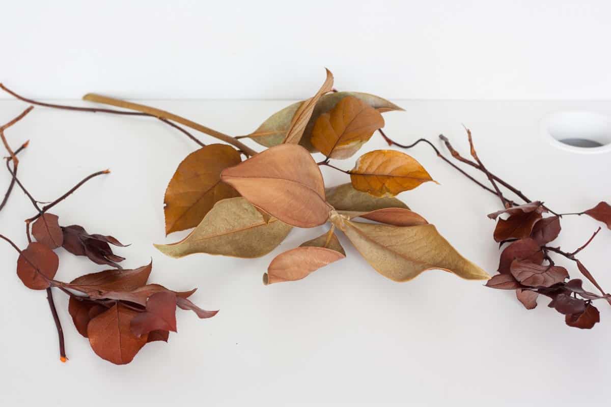 Групи за виси на ѕидови од есенски лисја