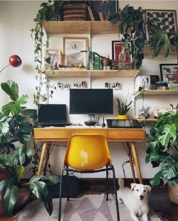 Comment décorer votre chambre avec des plantes de bureau de style esthétique 