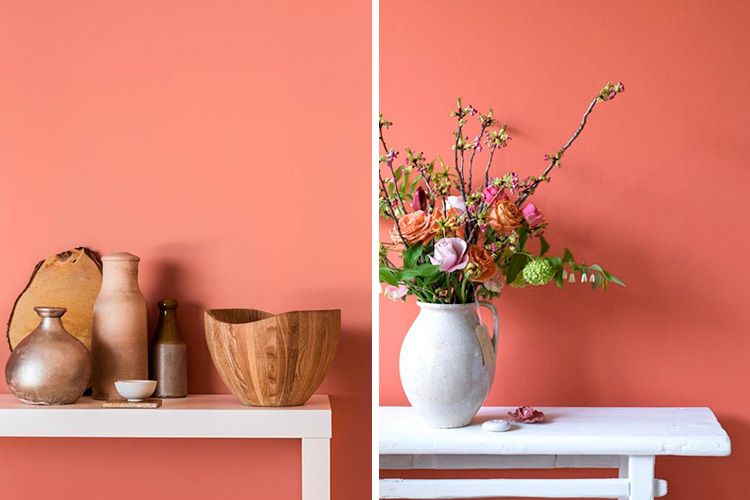 Murs de couleur corail vivant