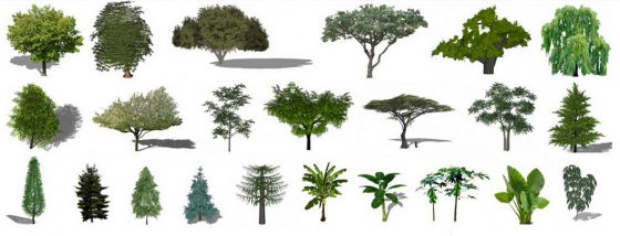 Plantes et arbres 2D et 3D pour Sketchup