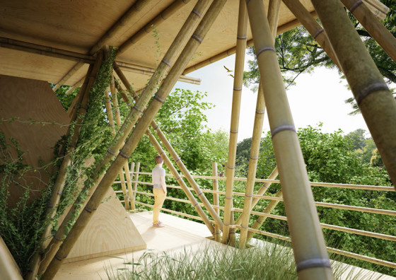 Bambou dans les structures de la maison