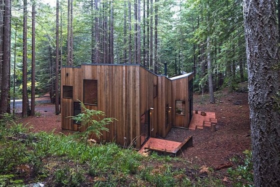 Maison construite en bois du terrain