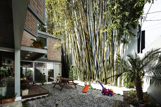 Conception de patio avec un jardin en bambou