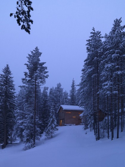 Conception de climats froids de petite maison en bois
