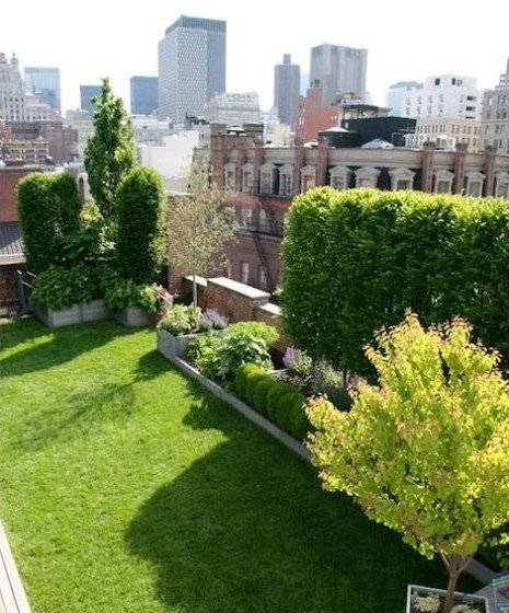 Conception de jardin sur le toit d'un immeuble dans une grande ville