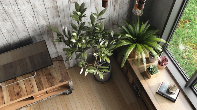 Design d'intérieur asie pots de plantes d'olivier