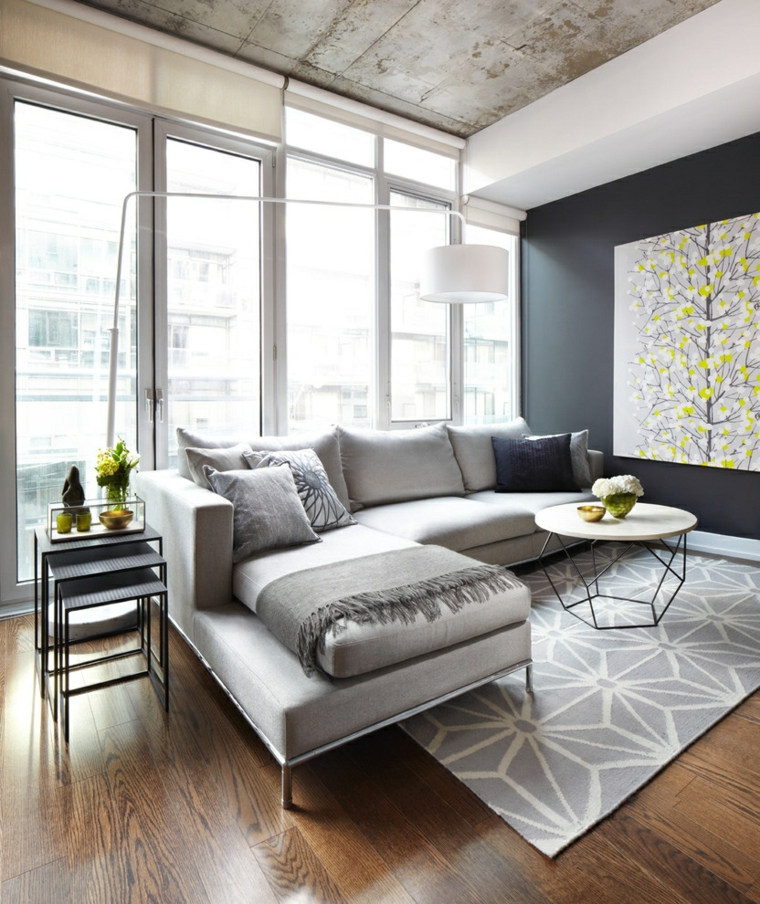 salon avec charme urbain idées de canapé gris design simple