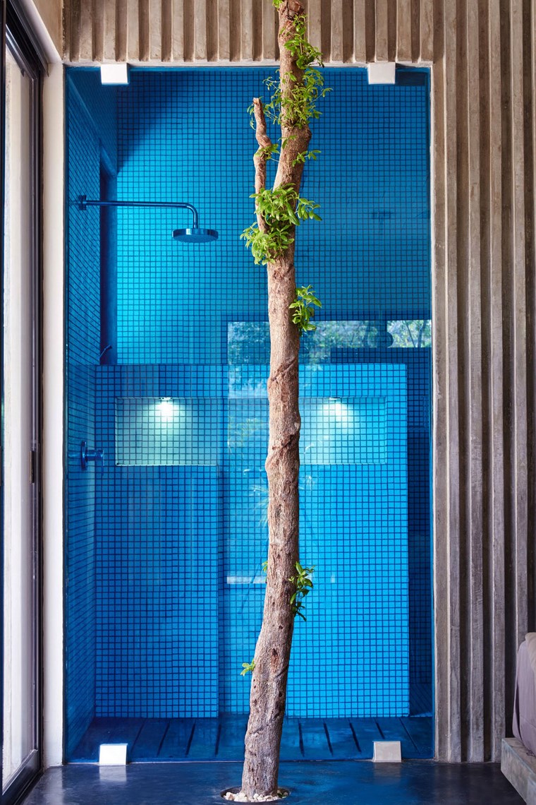maison mexique design salle de bain idées d'arbre de douche