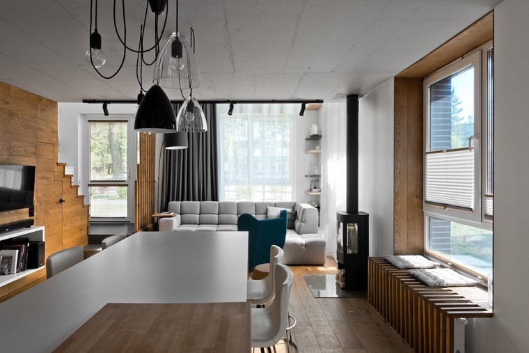 Idées de canapé gris pour salon de style scandinave