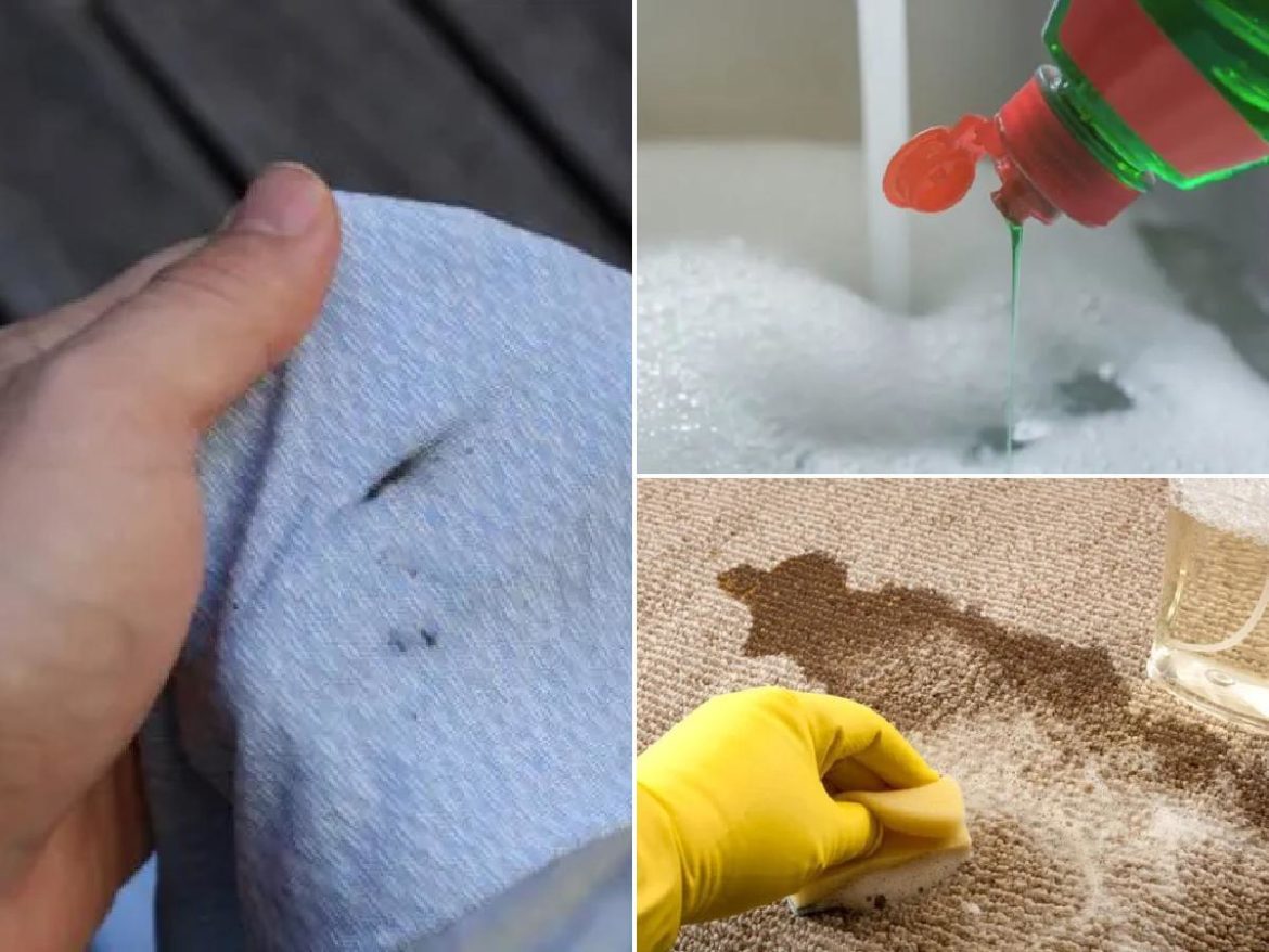 Cómo limpiar las manchas de grasa