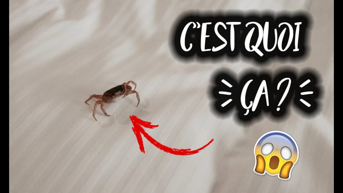 C'est quoi 1 are ?