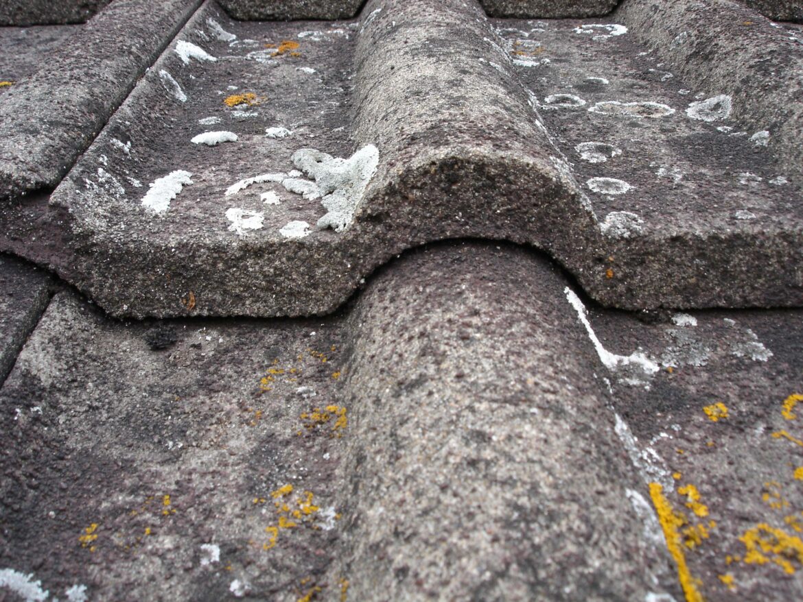 Comment appliquer un hydrofuge sur une toiture ?