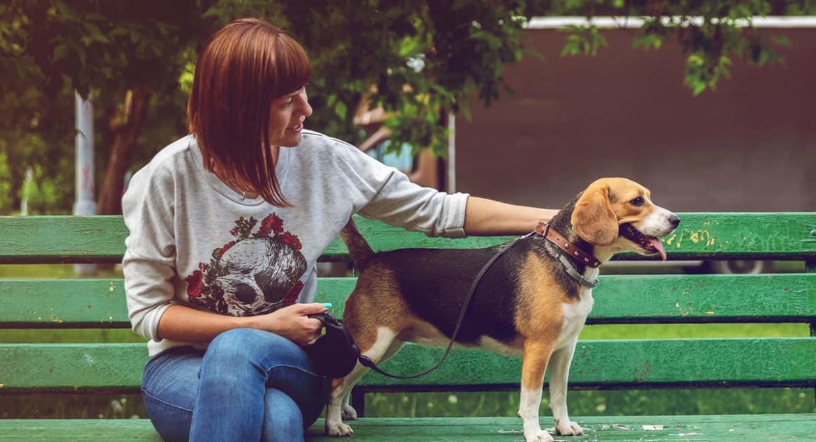 Comment apprendre au chien à se coucher ?