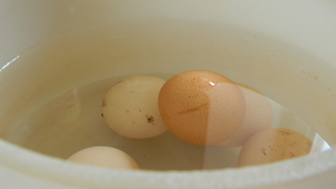 Comment calfeutrer une fenêtre en PVC ?