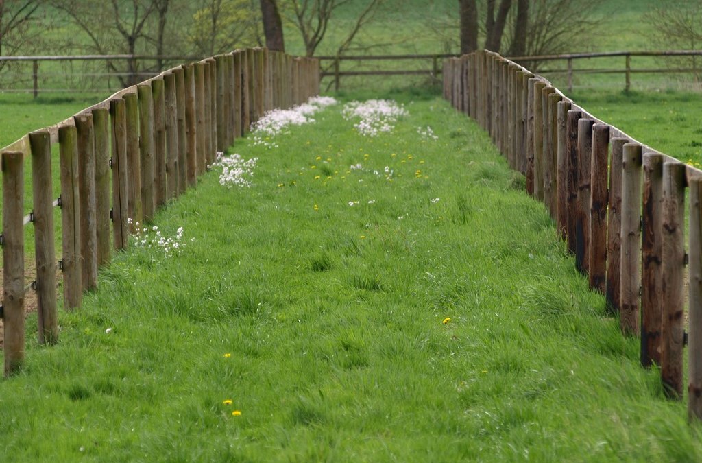 Comment clôturer un terrain pour pas cher ?