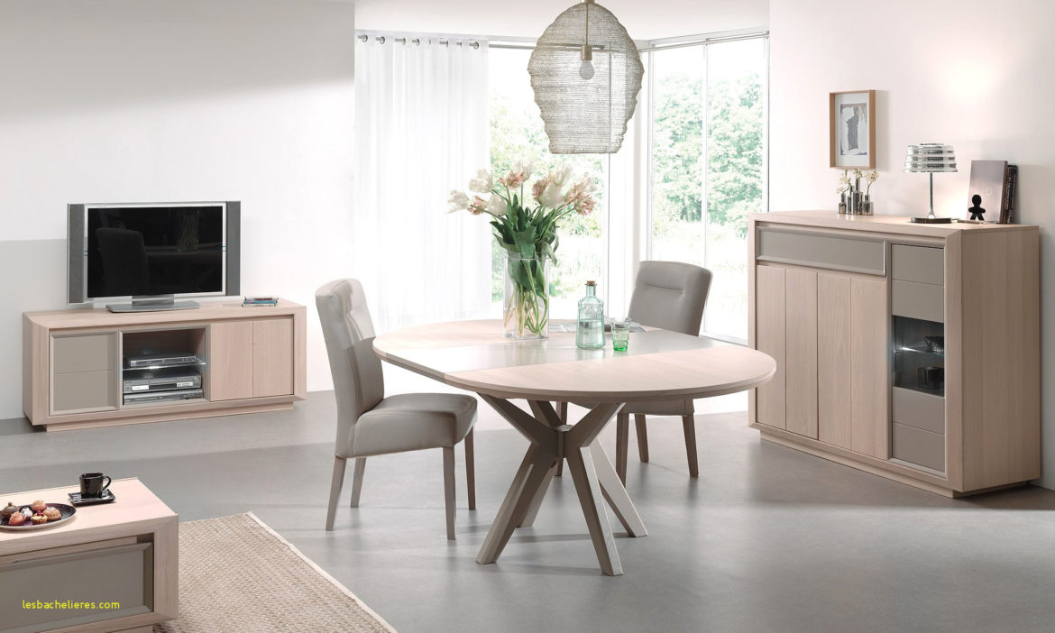 Comment disposer ses meubles dans salon salle à manger ?