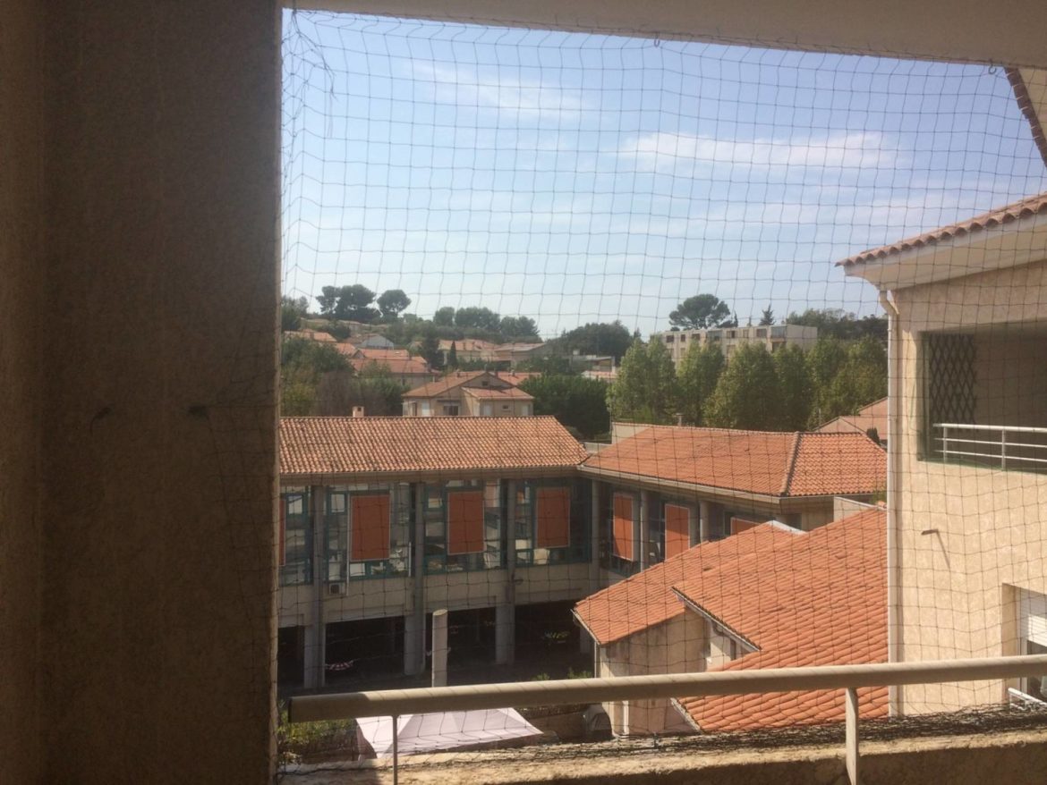 Comment empêcher une terrasse de verdir ?