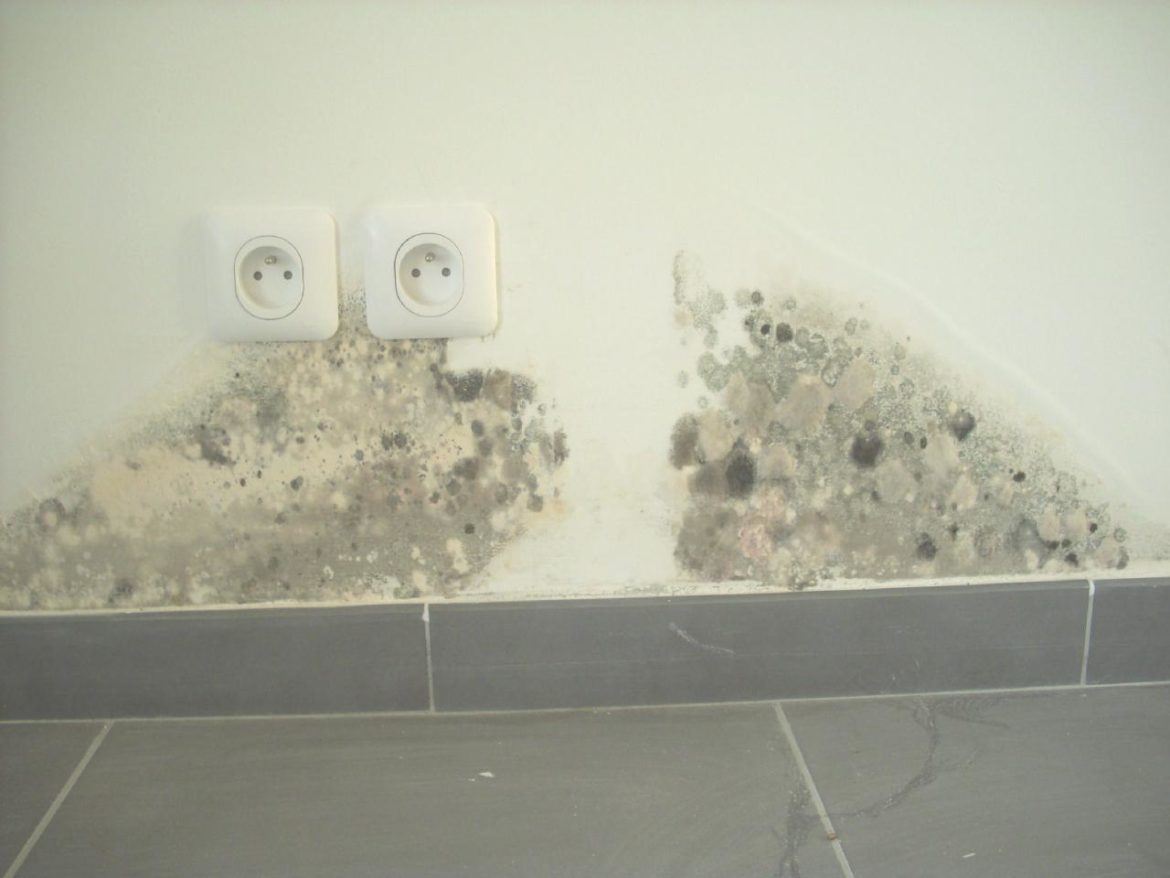 Comment enlever de la moisissure sur le sol ?