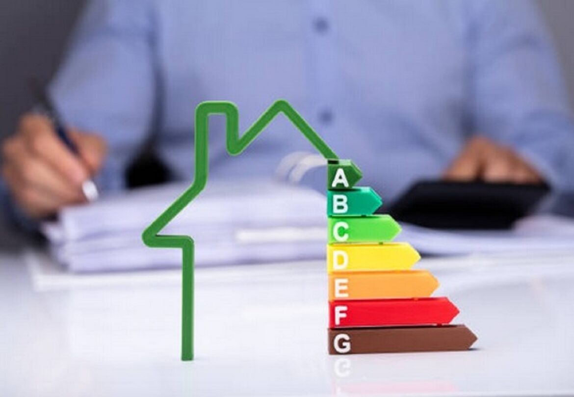 Comment enlever l'odeur de chat dans un appartement ?