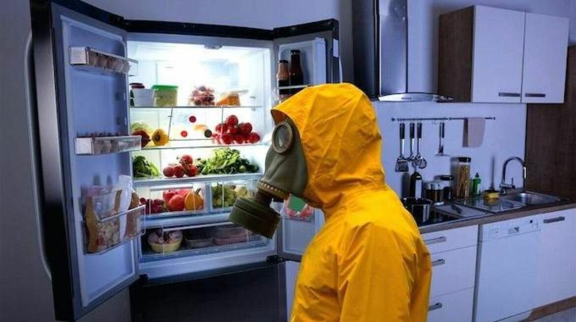 Comment enlever l'odeur d'un chat dans une maison ?