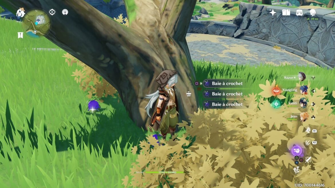 Comment faire de la peinture avec des pigments ?