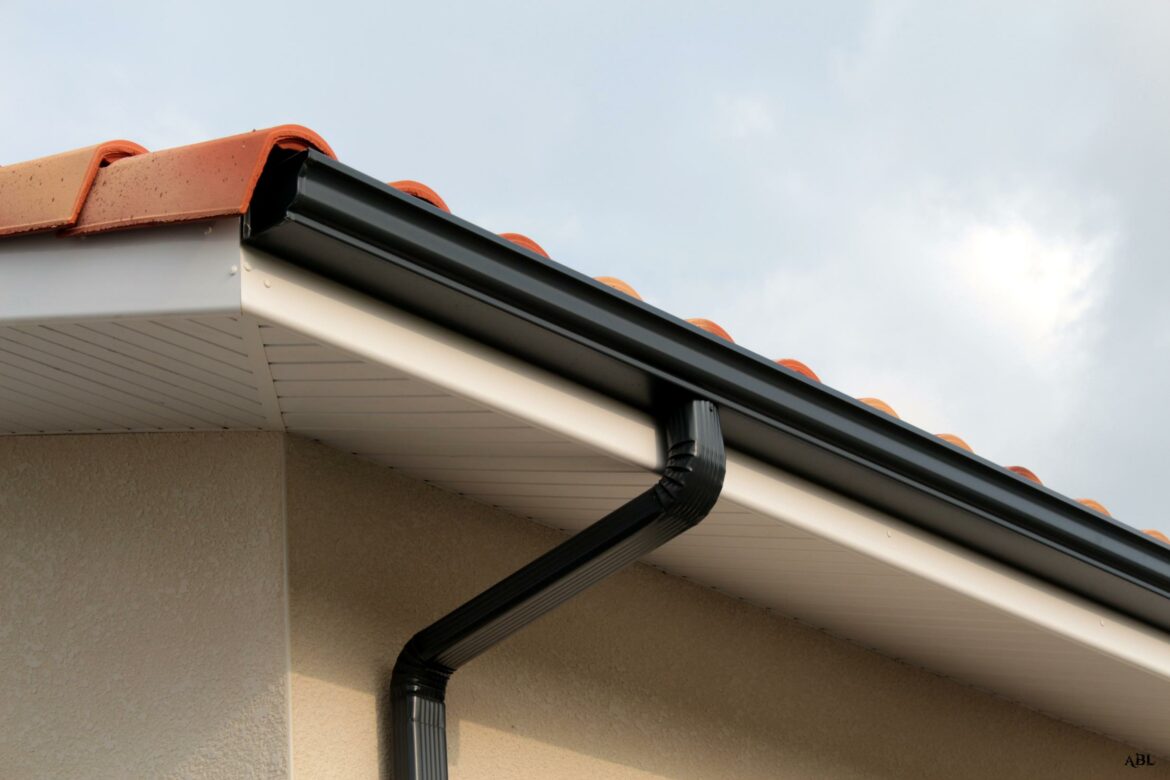 Comment faire fuire les punaises de lit ?