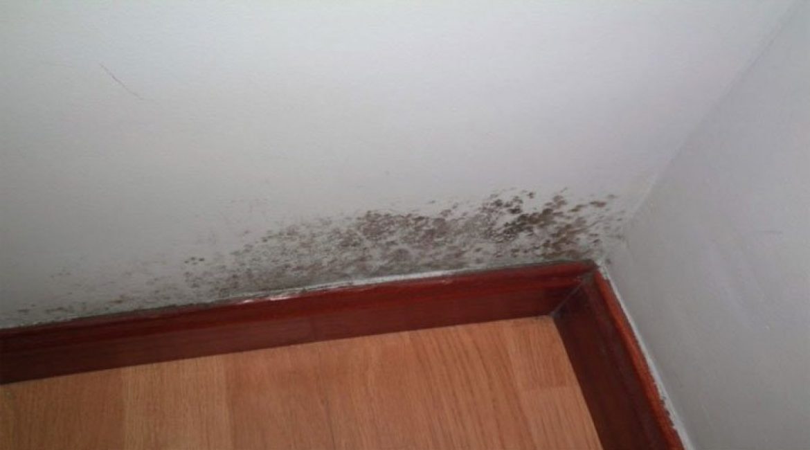 Comment faire partir l'humidité dans une maison ?