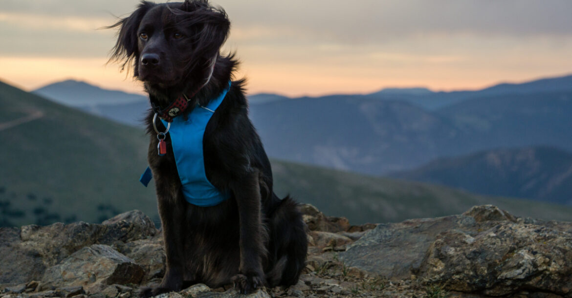 Comment faire pour monter sur un toit ?