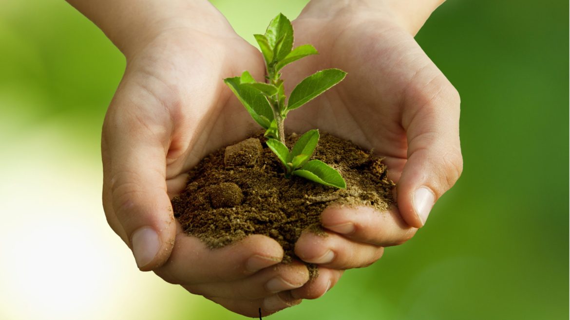 Comment faire pour protéger l'environnement ?