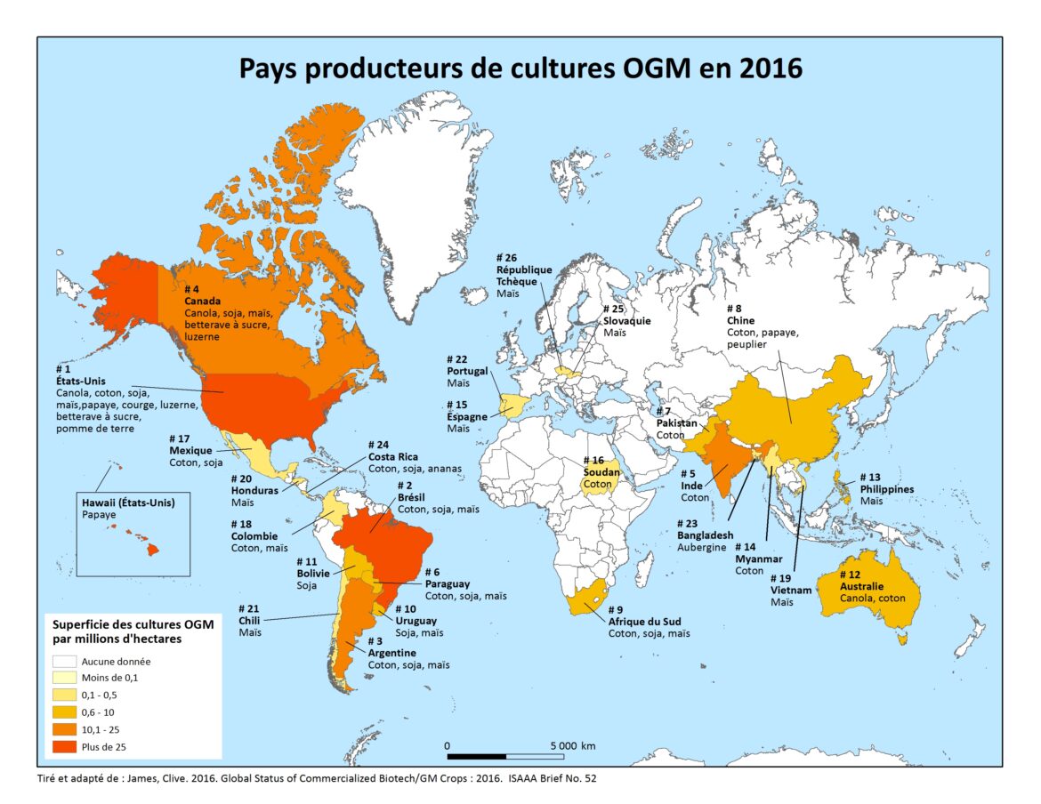 Comment faire pousser à partir d'un noyau ?