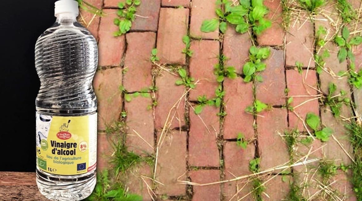 Comment faire un désherbant puissant et naturel ?