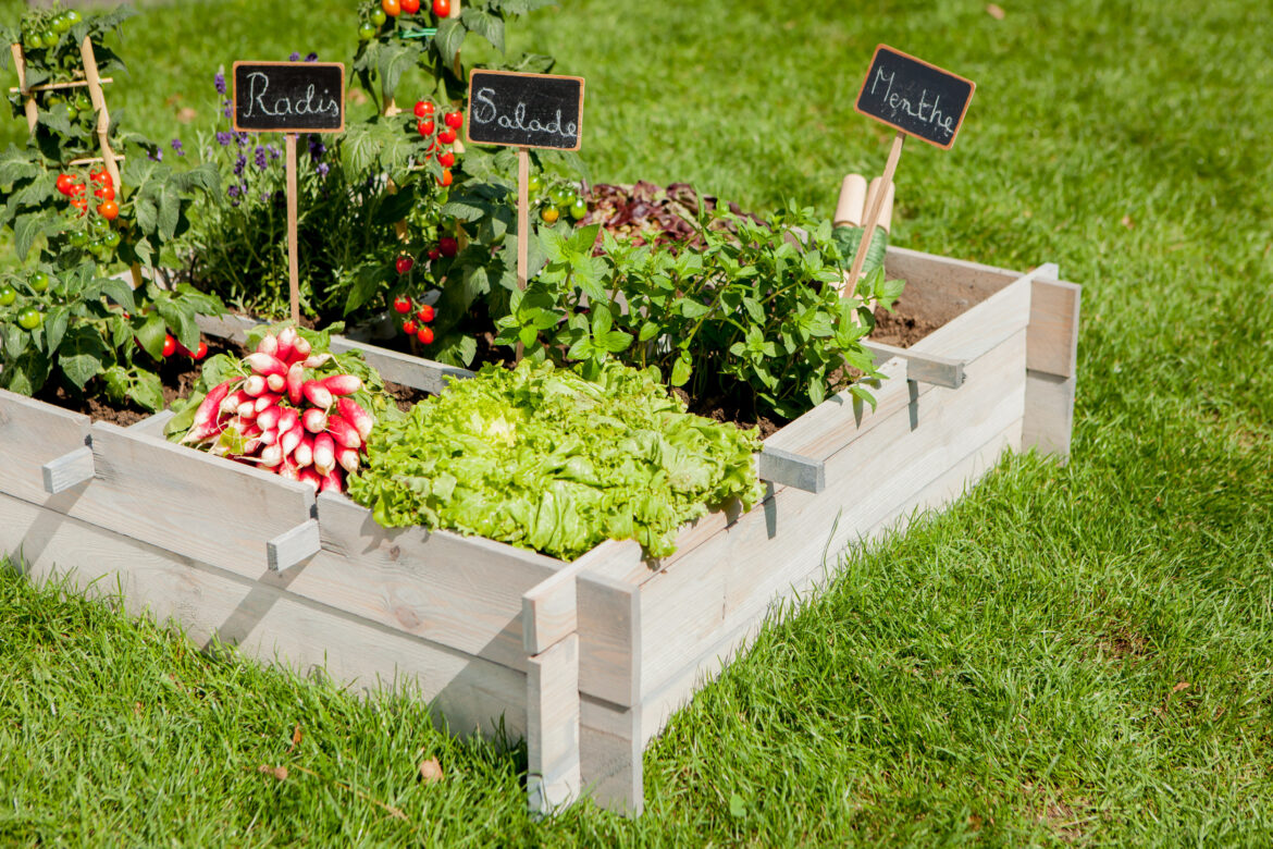 Comment faire un jardin simple ?