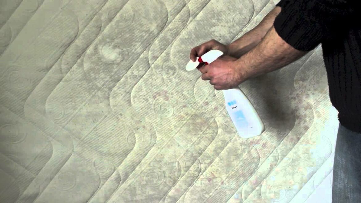 Comment faire un plan pour la mairie ?