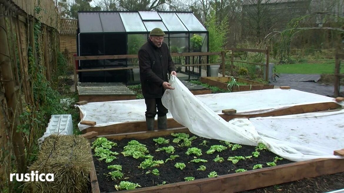 Comment fixer des roulettes sur une palette de bois ?