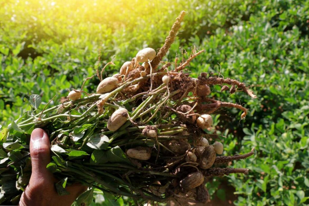 Comment fonctionne un plancher chauffant hydraulique ?