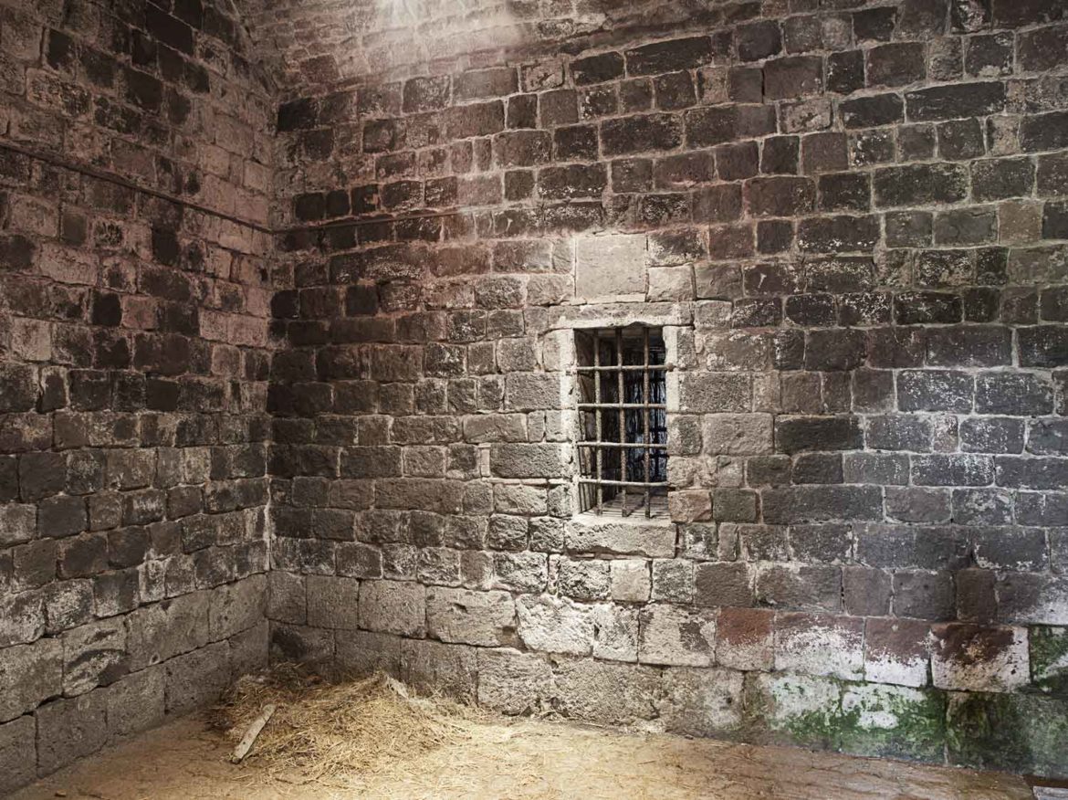 Comment habiller les murs d'une cave ?