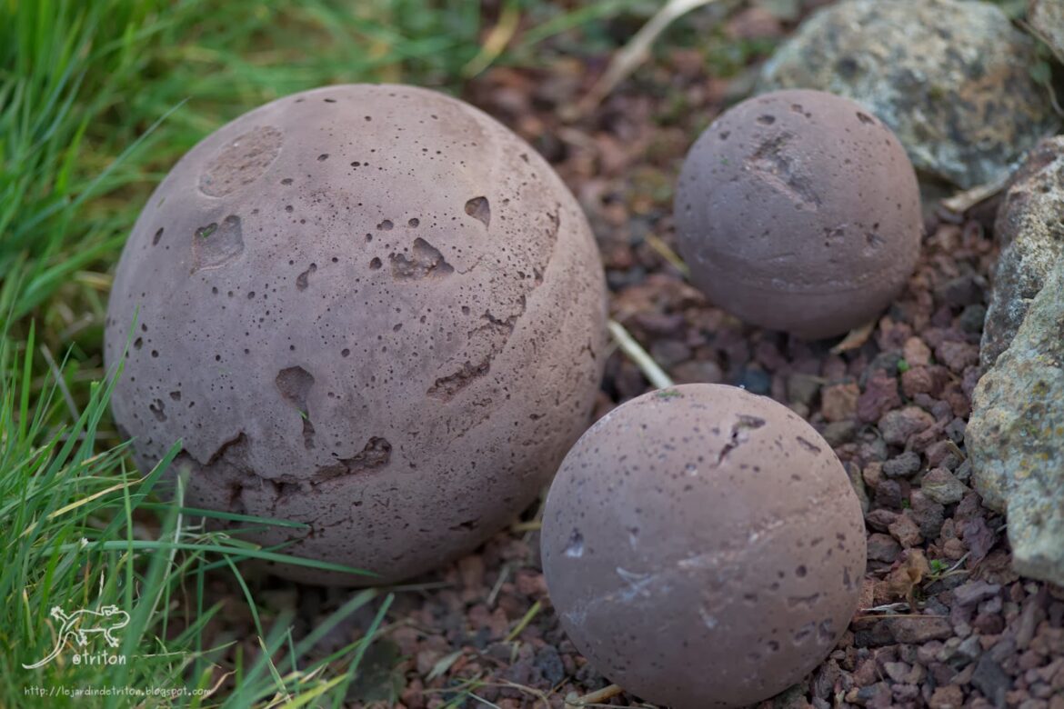 Comment injecter les murs ?