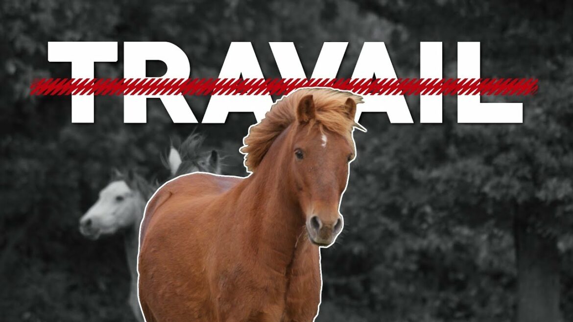 Comment inviter quelqu'un sur Quiz Planet ?