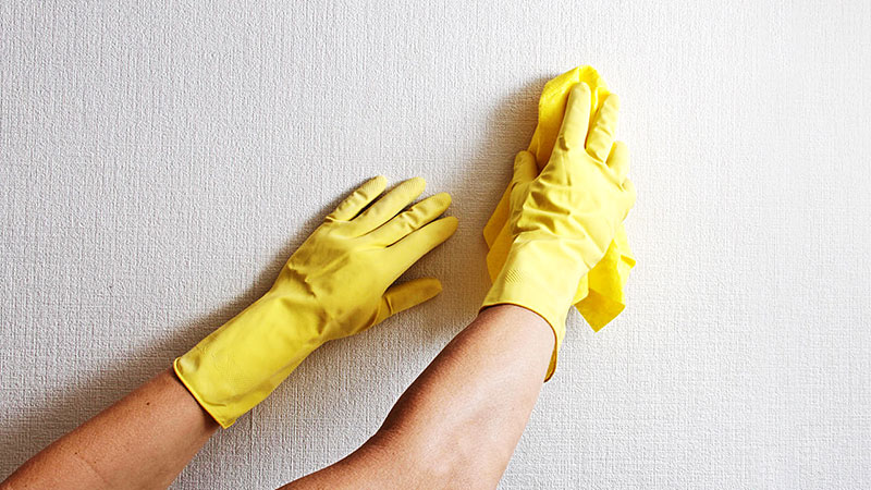 Comment Nettoyer Mur Peinture À L'eau ? - Housekeeping Magazine : Idées  Décoration, Inspiration, Astuces & Tendances