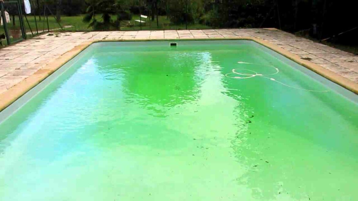 Comment partir une piscine creuse ?