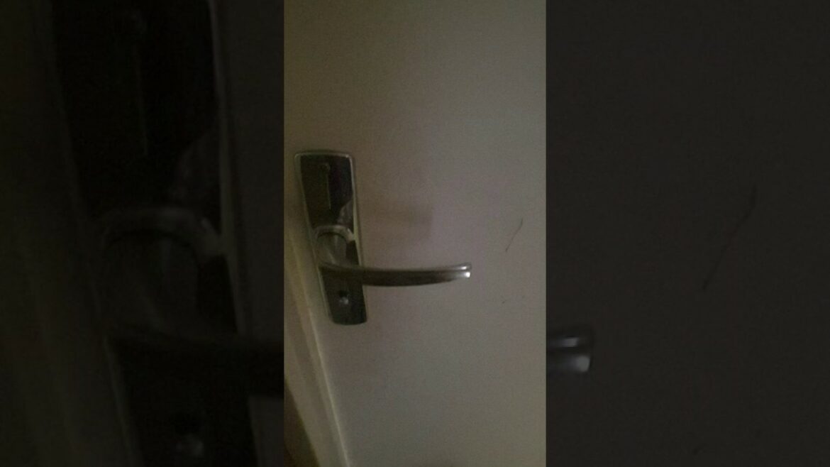 Comment poser des planches de bois au mur ?