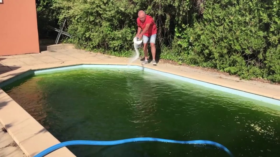 Comment rattraper une piscine verte en moins de 48h ?