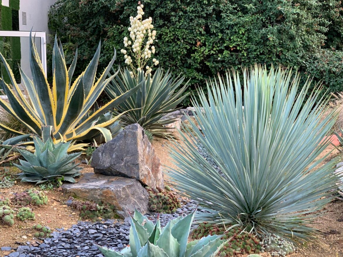 Comment réaliser un beau parterre de fleurs ?