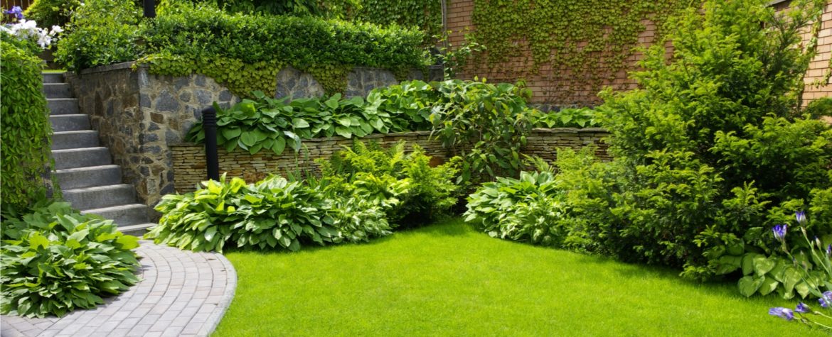 Comment réaliser un jardin d'agrément ?