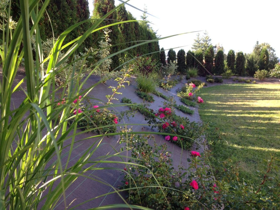 Comment recouvrir une butte de terre ?